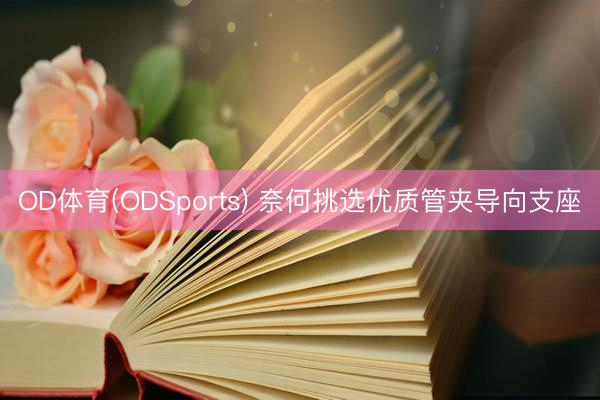 OD体育(ODSports) 奈何挑选优质管夹导向支座