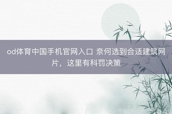od体育中国手机官网入口 奈何选到合适建筑网片，这里有科罚决策