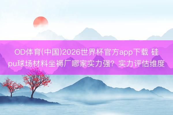 OD体育(中国)2026世界杯官方app下载 硅pu球场材料坐褥厂哪家实力强？实力评估维度
