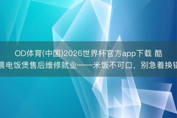 OD体育(中国)2026世界杯官方app下载 酷晨电饭煲售后维修就业——米饭不可口，别急着换锅