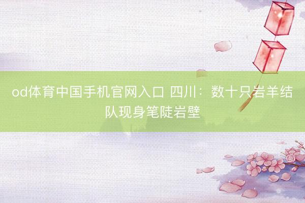 od体育中国手机官网入口 四川：数十只岩羊结队现身笔陡岩壁