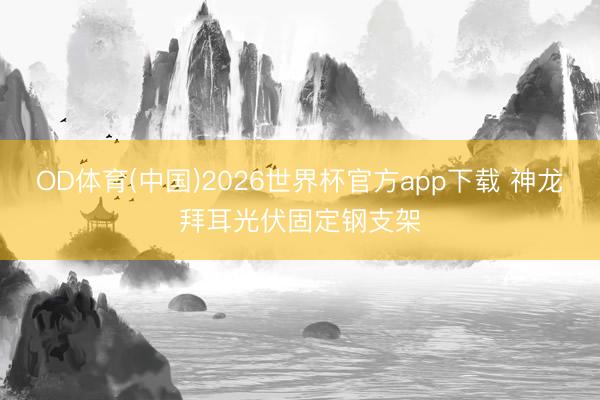 OD体育(中国)2026世界杯官方app下载 神龙拜耳光伏固定钢支架