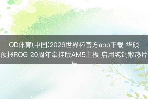 OD体育(中国)2026世界杯官方app下载 华硕预报ROG 20周年牵挂版AM5主板 启用纯铜散热片