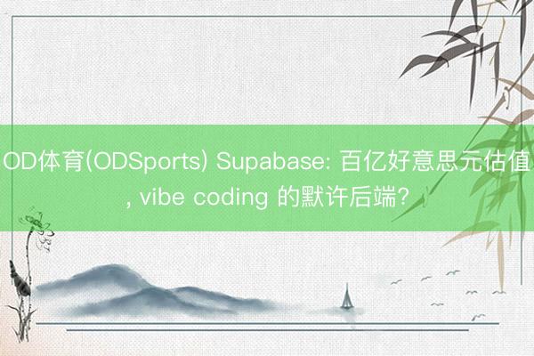 OD体育(ODSports) Supabase: 百亿好意思元估值， vibe coding 的默许后端?