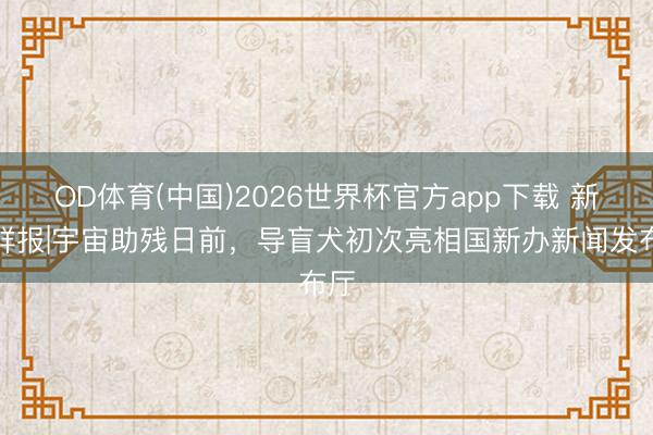 OD体育(中国)2026世界杯官方app下载 新华鲜报|宇宙助残日前，导盲犬初次亮相国新办新闻发布厅