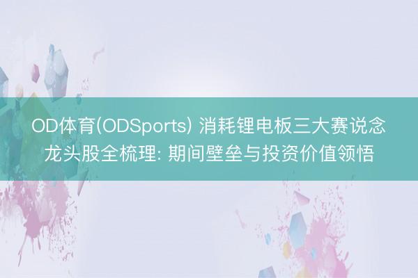 OD体育(ODSports) 消耗锂电板三大赛说念龙头股全梳理: 期间壁垒与投资价值领悟