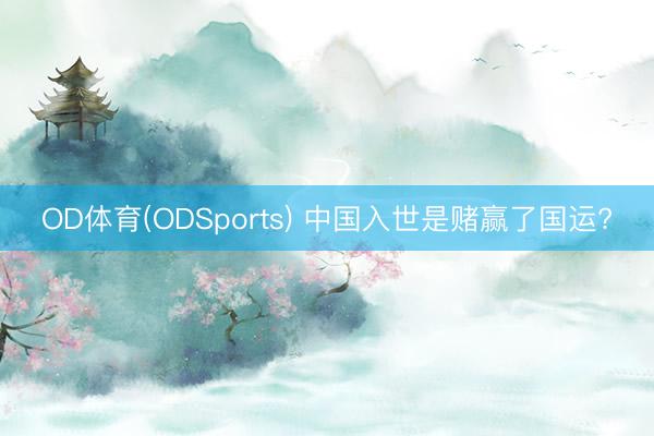 OD体育(ODSports) 中国入世是赌赢了国运?