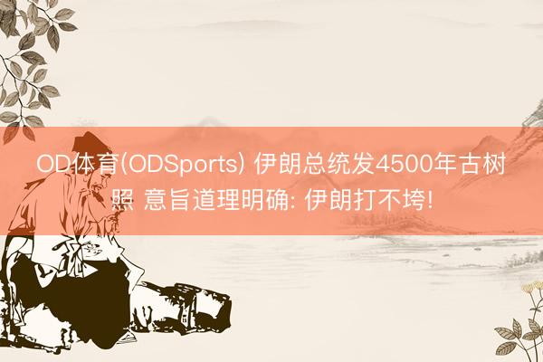 OD体育(ODSports) 伊朗总统发4500年古树照 意旨道理明确: 伊朗打不垮!