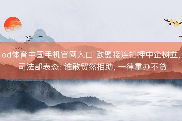 od体育中国手机官网入口 欧盟接连扣押中企树立， 司法部表态: 谁敢贸然相助， 一律重办不贷