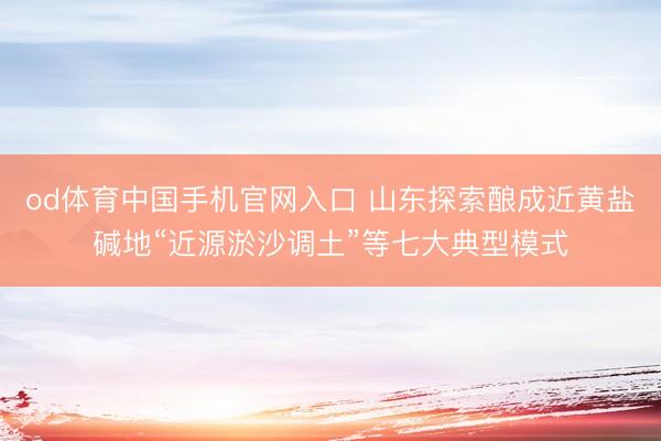 od体育中国手机官网入口 山东探索酿成近黄盐碱地“近源淤沙调土”等七大典型模式