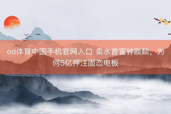 od体育中国手机官网入口 卖水首富钟睒睒，为何5亿押注固态电板