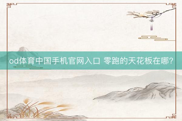 od体育中国手机官网入口 零跑的天花板在哪?