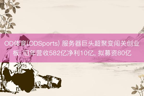OD体育(ODSports) 服务器巨头超聚变闯关创业板: 旧年营收582亿净利10亿， 拟募资80亿