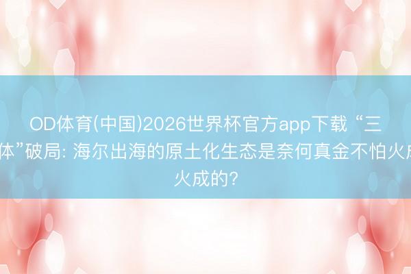 OD体育(中国)2026世界杯官方app下载 “三位一体”破局: 海尔出海的原土化生态是奈何真金不怕火成的?