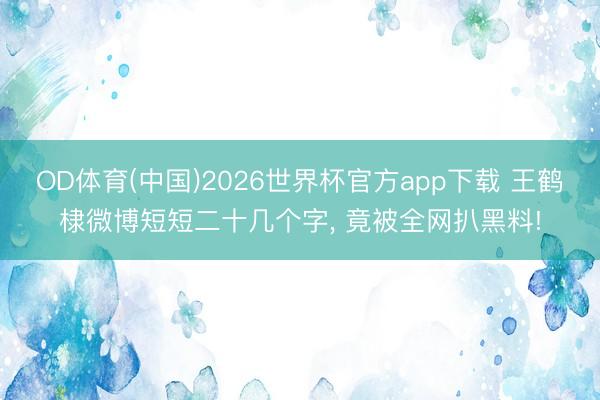 OD体育(中国)2026世界杯官方app下载 王鹤棣微博短短二十几个字， 竟被全网扒黑料!