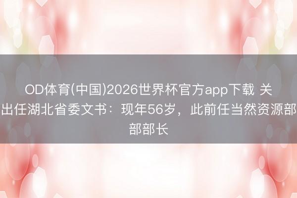 OD体育(中国)2026世界杯官方app下载 关志鸥出任湖北省委文书：现年56岁，此前任当然资源部部长