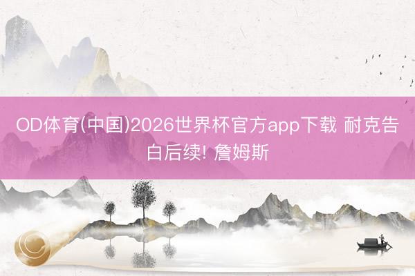 OD体育(中国)2026世界杯官方app下载 耐克告白后续! 詹姆斯