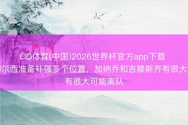 OD体育(中国)2026世界杯官方app下载 记者：切尔西准备补强多个位置，加纳乔和吉滕斯齐有很大可能离队
