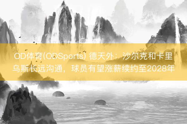 OD体育(ODSports) 德天外：沙尔克和卡里乌斯长远沟通，球员有望涨薪续约至2028年
