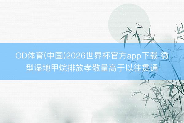 OD体育(中国)2026世界杯官方app下载 微型湿地甲烷排放孝敬量高于以往贯通