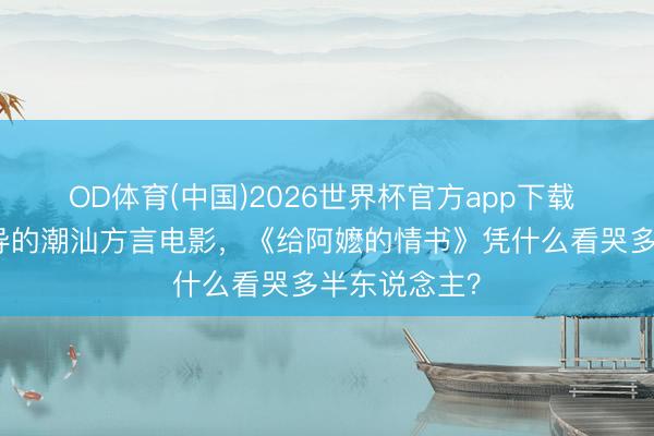 OD体育(中国)2026世界杯官方app下载 莫得明星大导的潮汕方言电影，《给阿嬷的情书》凭什么看哭多半东说念主？
