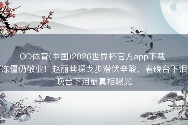 OD体育(中国)2026世界杯官方app下载 陈佩斯零下冻僵仍敬业！赵丽蓉探戈步潜伏辛酸，春晚台下泪崩真相曝光