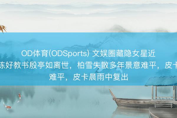 OD体育(ODSports) 文娱圈藏隐女星近况大起底：陈好教书殷亭如离世，柏雪失散多年景意难平，皮卡晨雨中复出