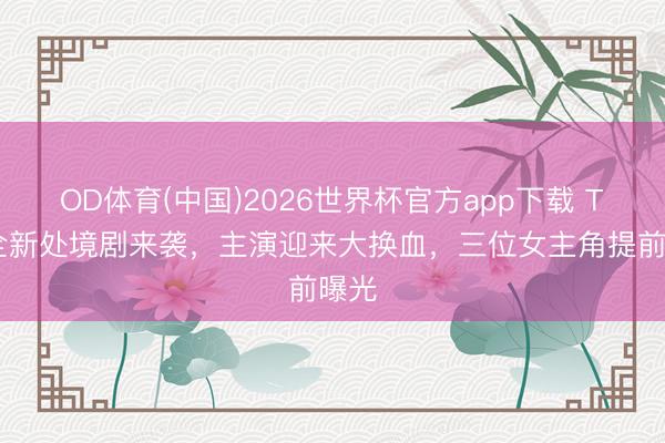 OD体育(中国)2026世界杯官方app下载 TVB全新处境剧来袭，主演迎来大换血，三位女主角提前曝光
