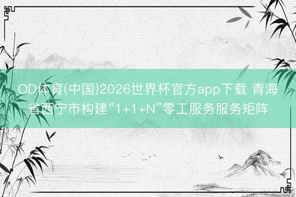 OD体育(中国)2026世界杯官方app下载 青海省西宁市构建“1+1+N”零工服务服务矩阵