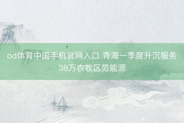 od体育中国手机官网入口 青海一季度升沉服务38万农牧区劳能源