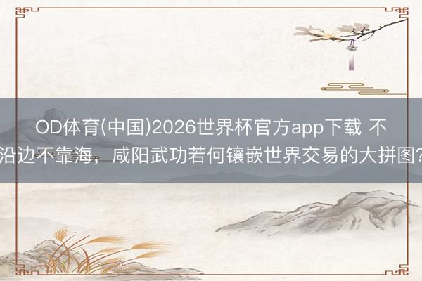 OD体育(中国)2026世界杯官方app下载 不沿边不靠海,咸阳武功若何镶嵌世界交易的大拼图?
