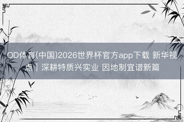 OD体育(中国)2026世界杯官方app下载 新华视点｜深耕特质兴实业 因地制宜谱新篇