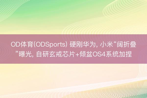 OD体育(ODSports) 硬刚华为， 小米“阔折叠”曝光， 自研玄戒芯片+倾盆OS4系统加捏