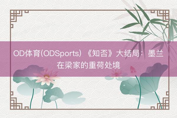 OD体育(ODSports) 《知否》大结局：墨兰在梁家的重荷处境