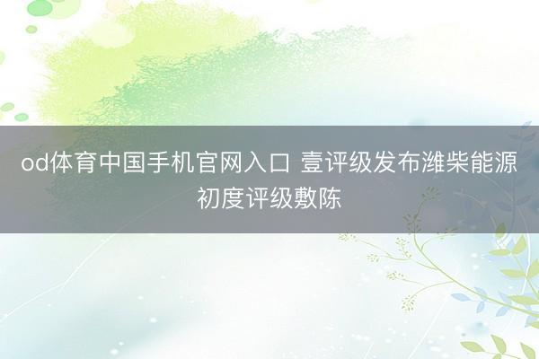 od体育中国手机官网入口 壹评级发布潍柴能源初度评级敷陈