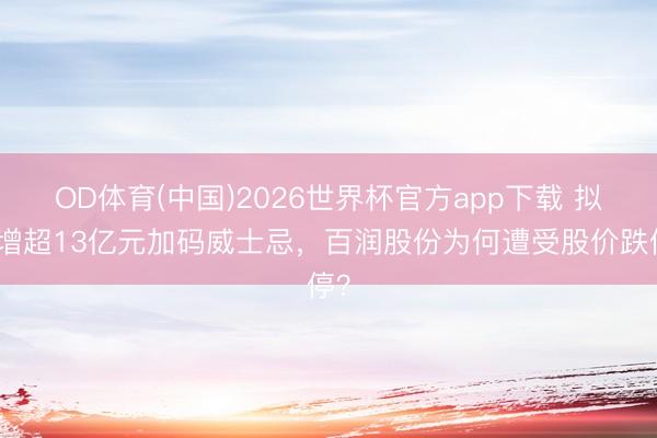 OD体育(中国)2026世界杯官方app下载 拟定增超13亿元加码威士忌，百润股份为何遭受股价跌停？