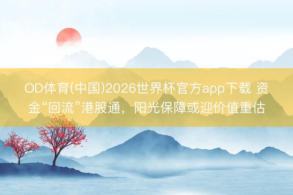 OD体育(中国)2026世界杯官方app下载 资金“回流”港股通，阳光保障或迎价值重估